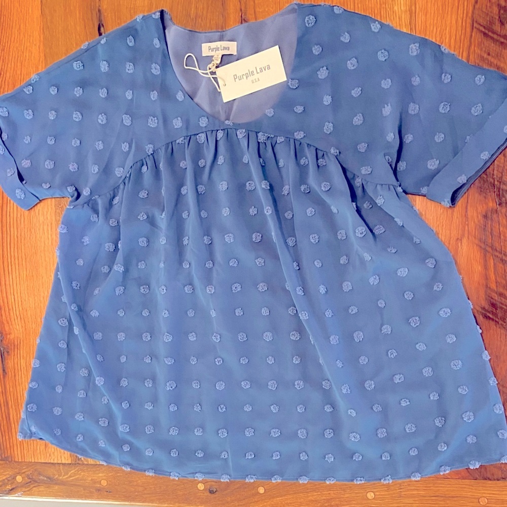 Purple Lava NWT Adorable Cornflower Blue Lined Swiss Dot Short Sleeve Top, Med